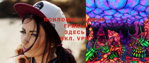 ПСИЛОЦИБИНОВЫЕ ГРИБЫ Инсар