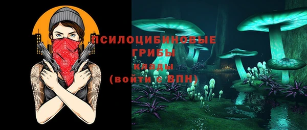 ПСИЛОЦИБИНОВЫЕ ГРИБЫ Инсар