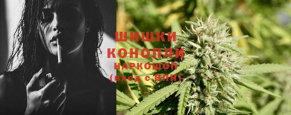 ПСИЛОЦИБИНОВЫЕ ГРИБЫ Инсар